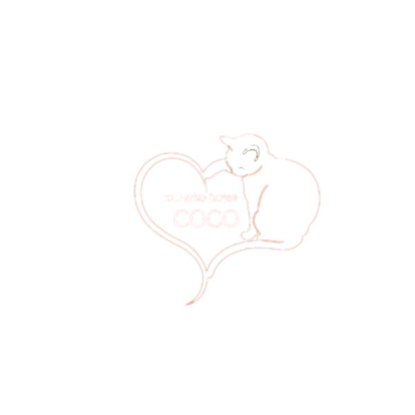 老猫ホーム　COCO のお家